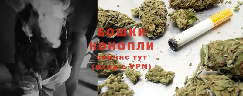 Конопля Ganja  Павловск 